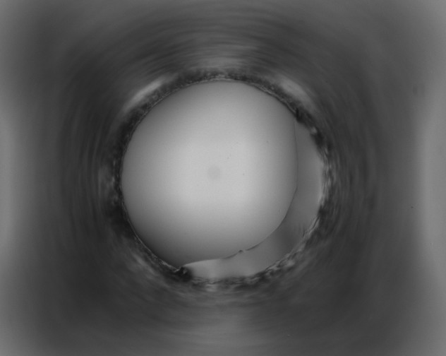 X0000086790872200705041546