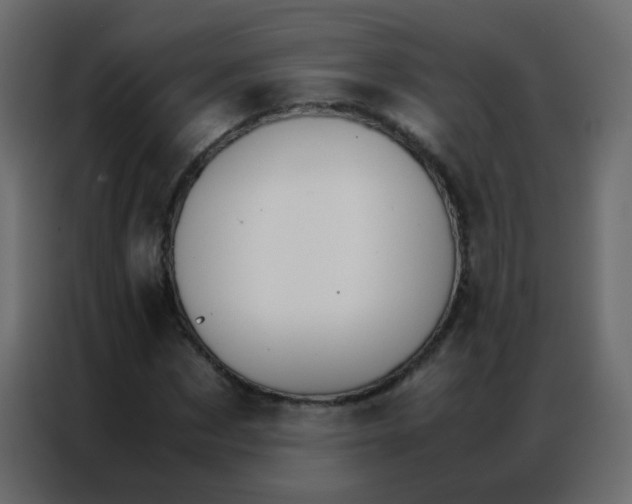 X0000086790873200705041546