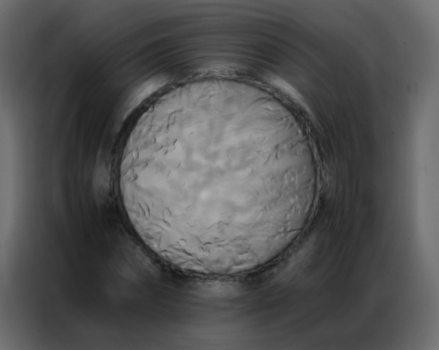 X0000086790874200705041546