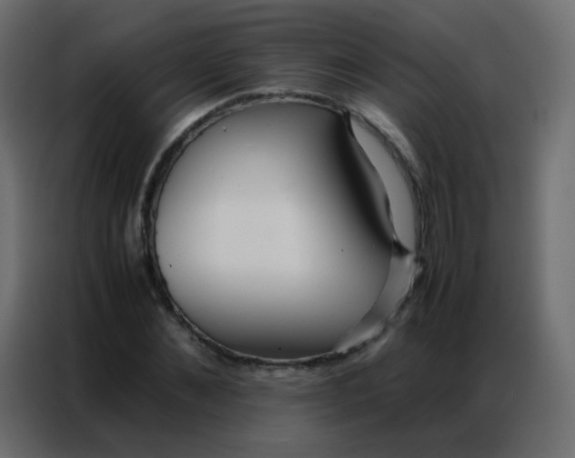 X0000086790876200705041546