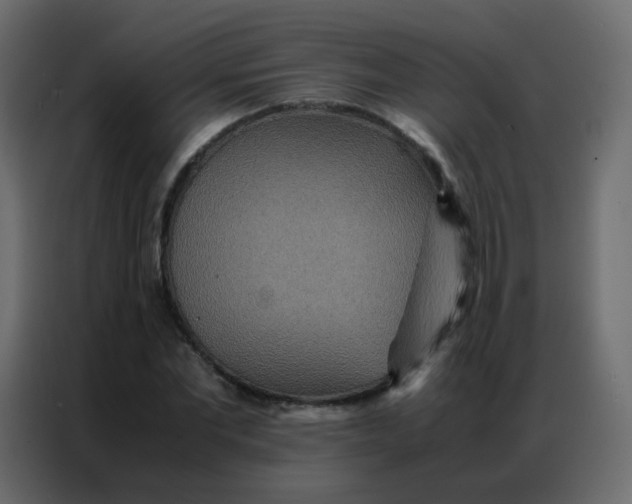 X0000086790877200705041546