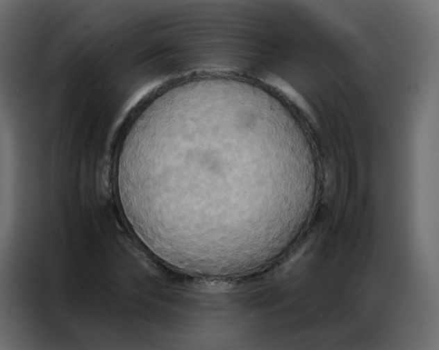 X0000086790878200705041546