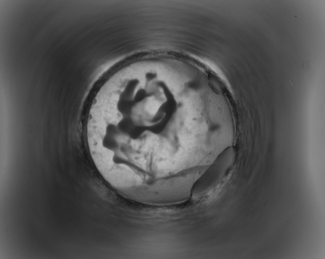 X0000086790879200705041546