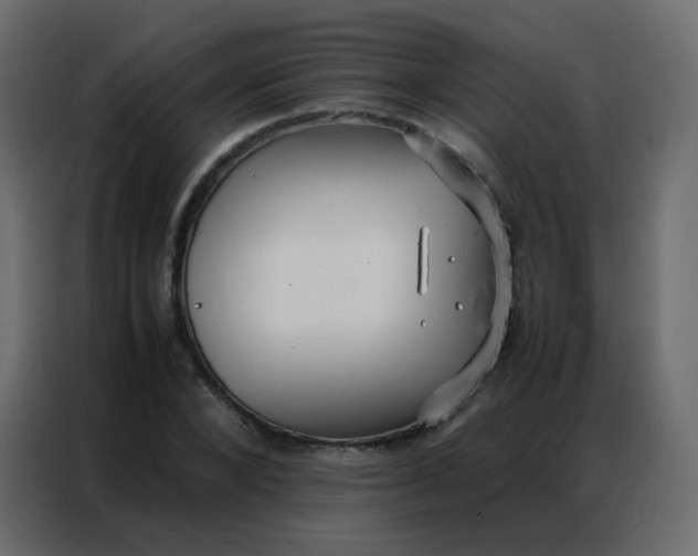 X0000086790880200705041546