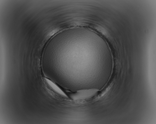 X0000086790881200705041546