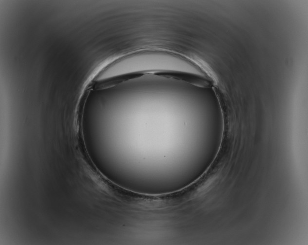 X0000086790885200705041546