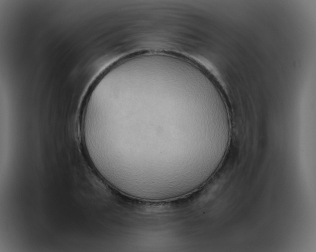 X0000086790887200705041546