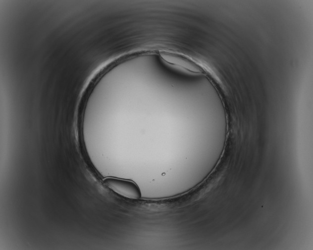 X0000086790888200705041546