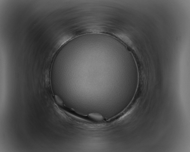 X0000086790889200705041546