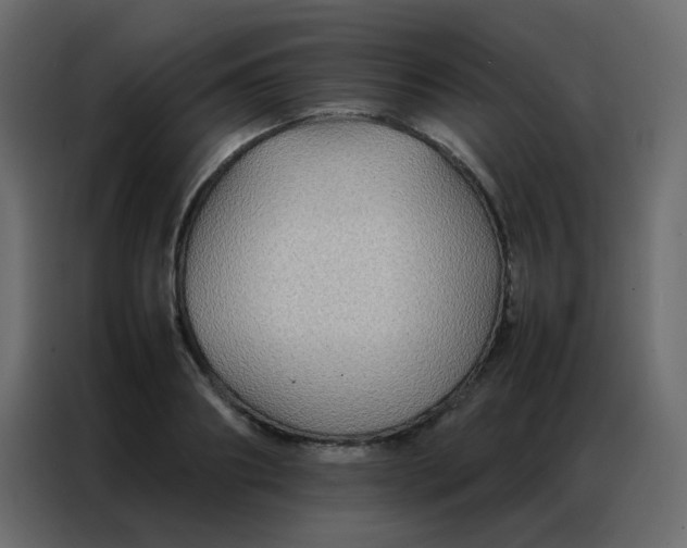 X0000086790890200705041546