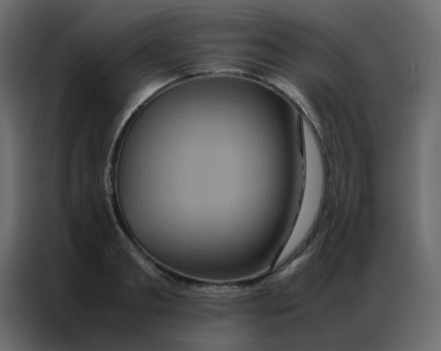 X0000086790893200705041546