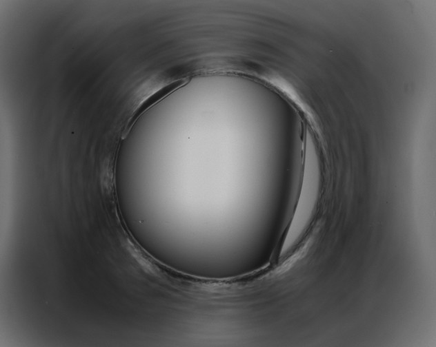 X0000086790897200705041546