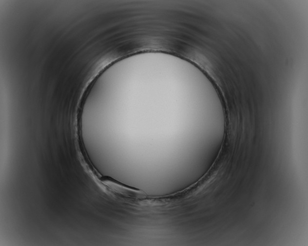 X0000086790898200705041546