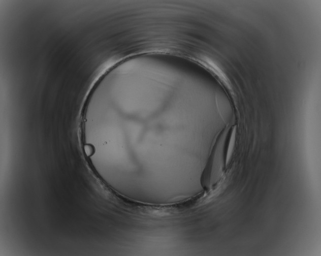 X0000086790899200705041546