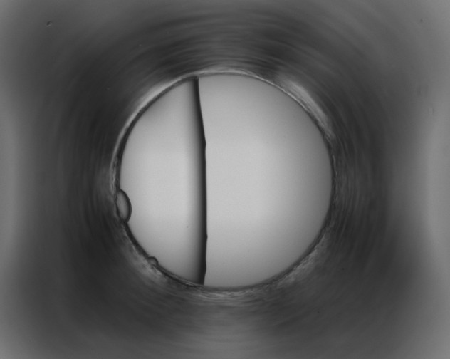 X0000086790900200705041546