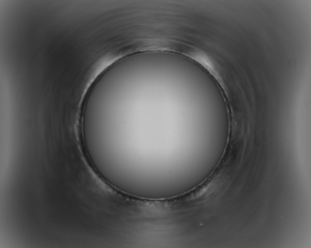 X0000086790901200705041546