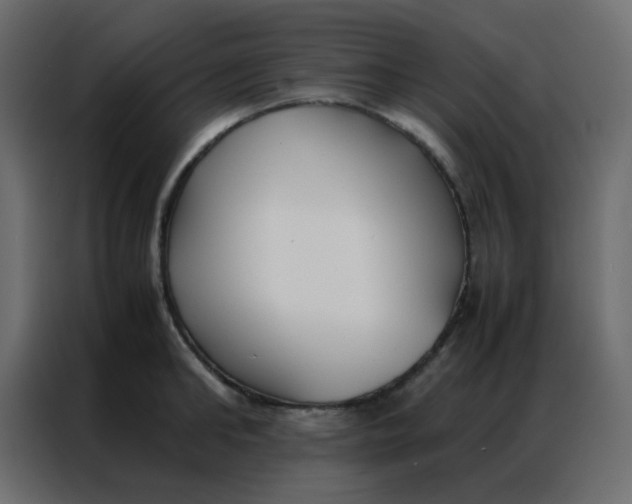 X0000086790902200705041546