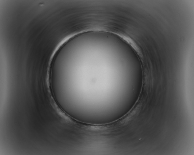 X0000086790904200705041546