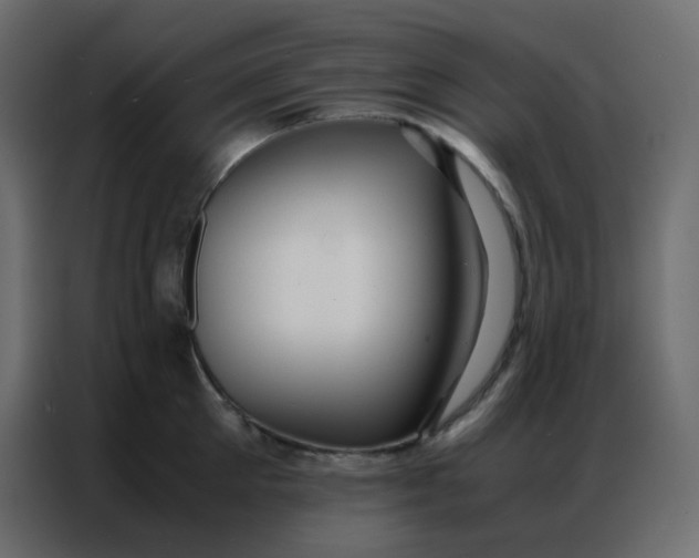 X0000086790905200705041546