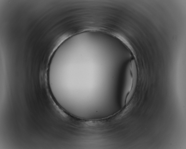 X0000086790906200705041546