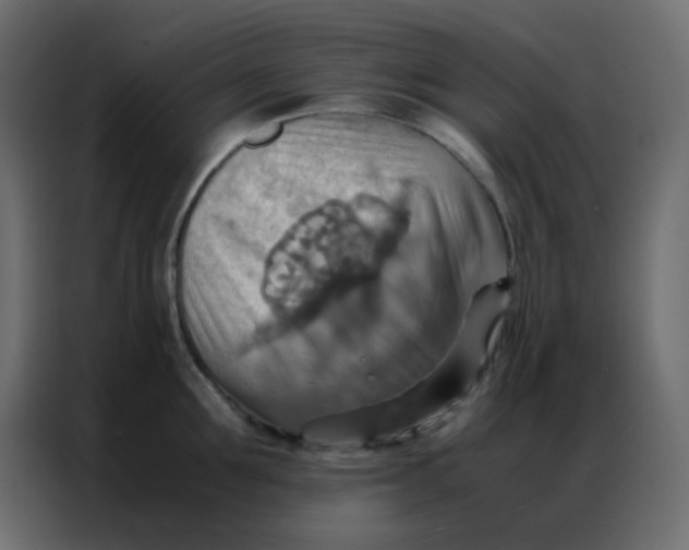 X0000086790907200705041546