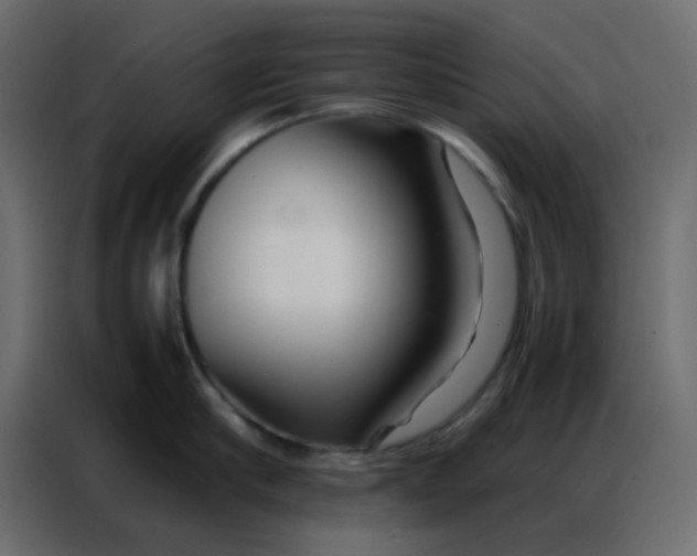 X0000086790910200705041546