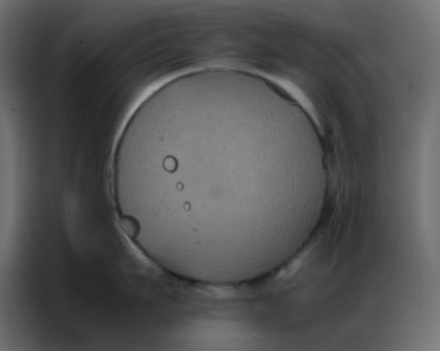 X0000086790911200705041546