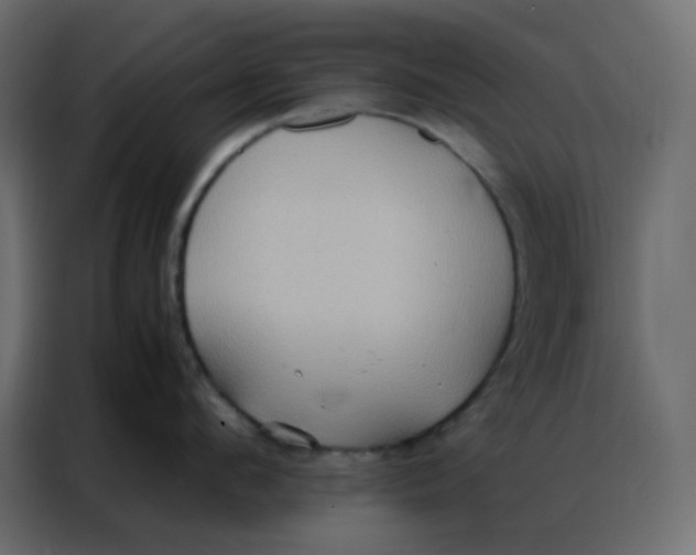 X0000086790912200705041546