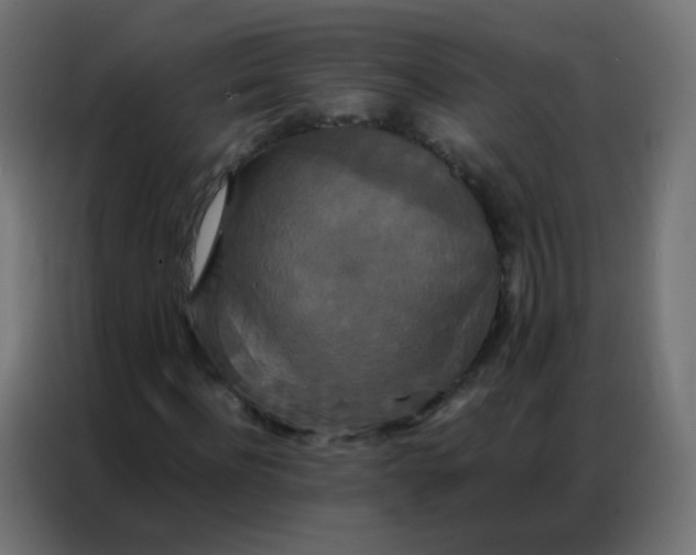 X0000086790916200705041545