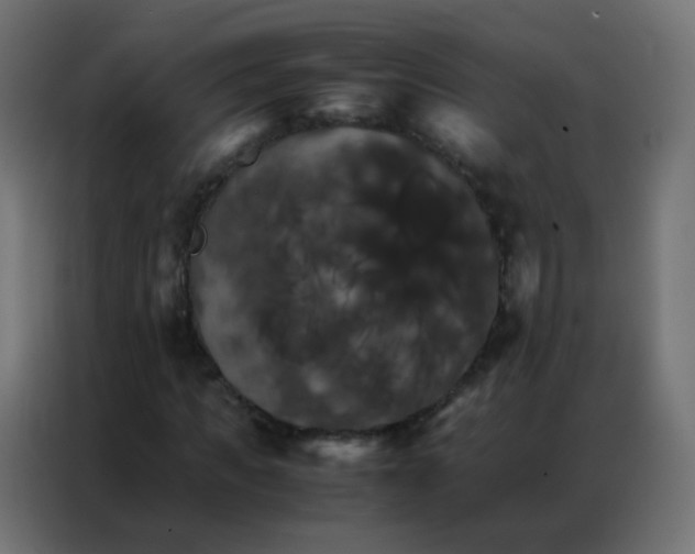 X0000086790917200705041545