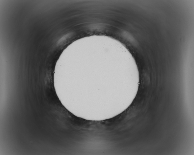 X0000086790918200705041545