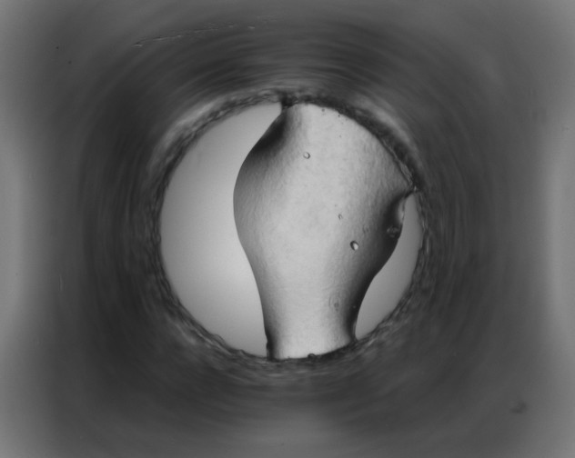 X0000086790920200705041545