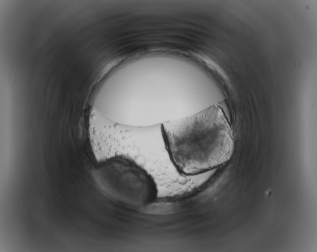 X0000086790921200705041545