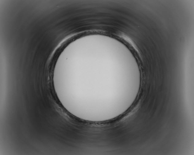 X0000086790923200705041545