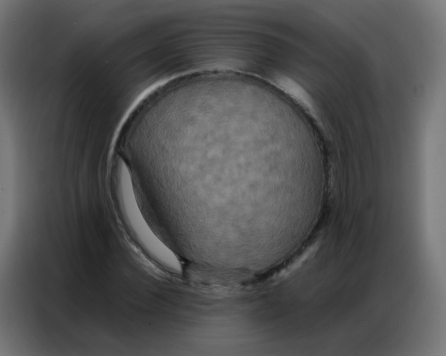 X0000086790924200705041545