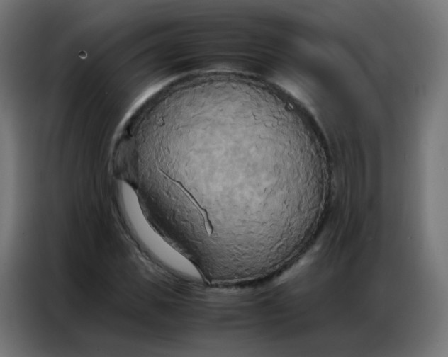 X0000086790925200705041545