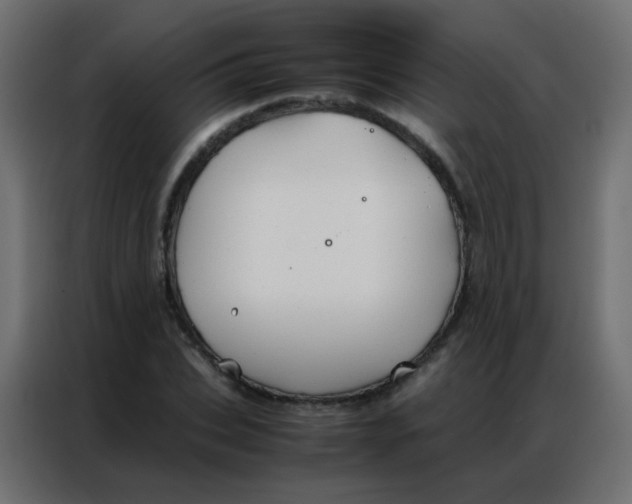 X0000086790927200705041545