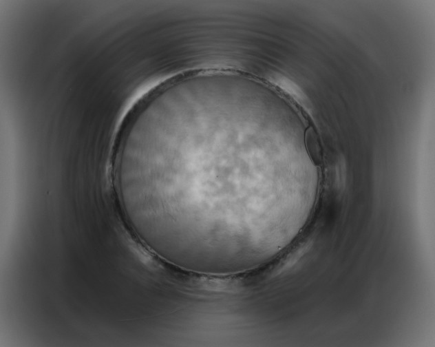 X0000086790928200705041545