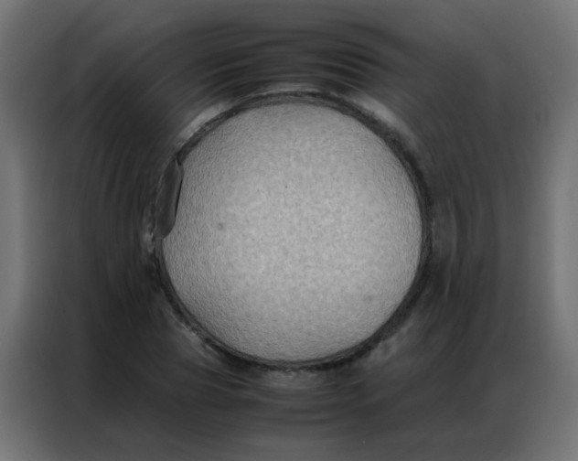 X0000086790929200705041545