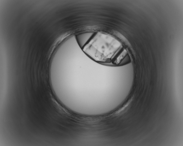 X0000086790930200705041545