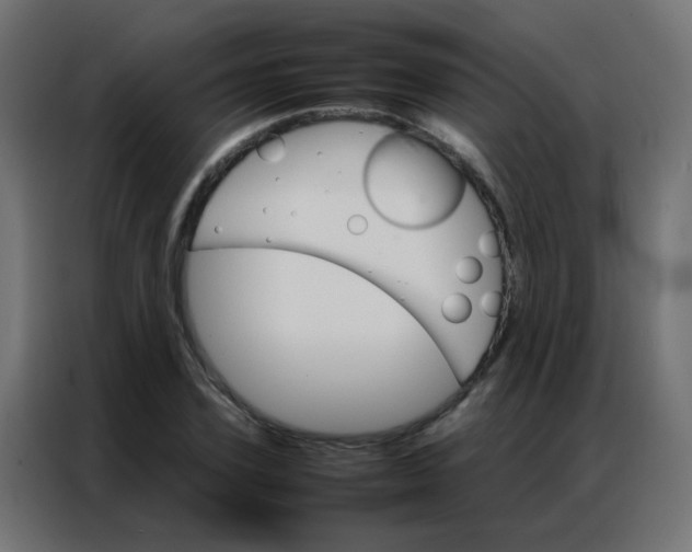 X0000086790931200705041545