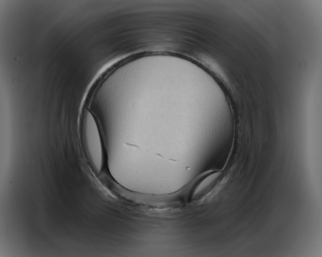 X0000086790932200705041545