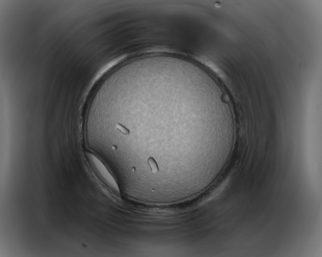 X0000086790933200705041545