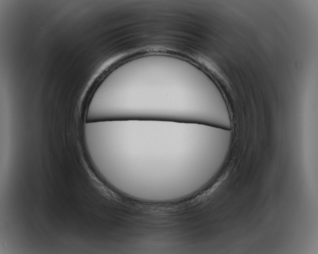 X0000086790934200705041545