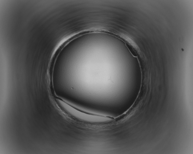 X0000086790936200705041545