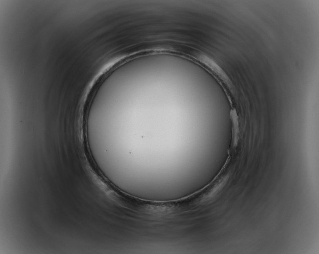 X0000086790939200705041545