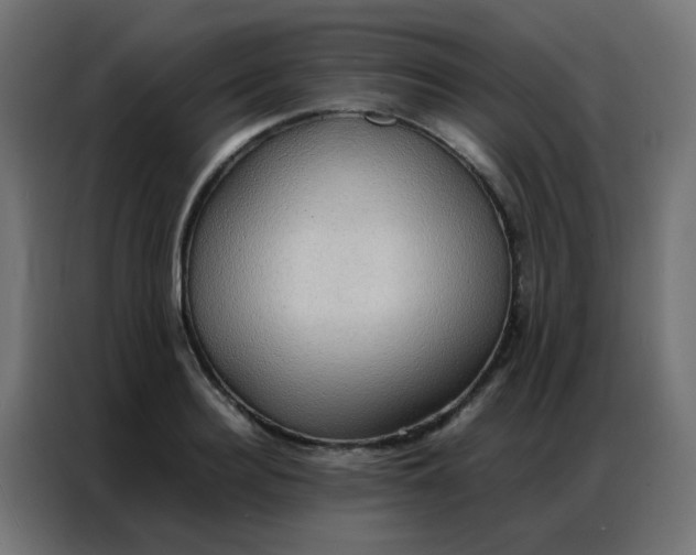 X0000086790940200705041545