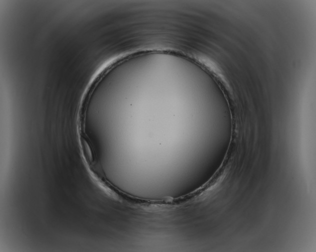 X0000086790942200705041545