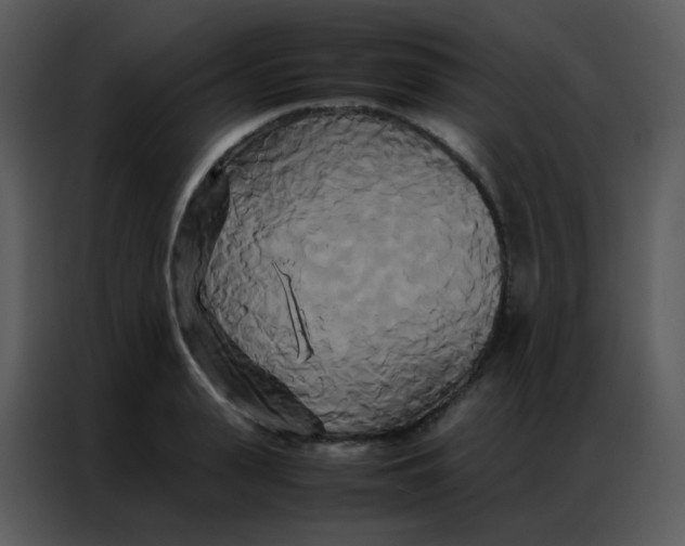 X0000086790943200705041545