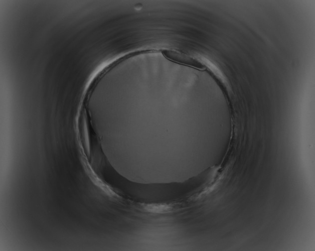 X0000086790944200705041545